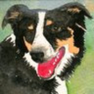 Meet your Posher, Jeff